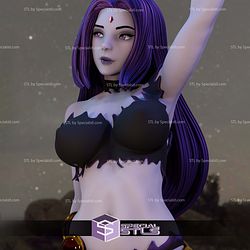 Teen Titans Ravenna Attractive STL Files