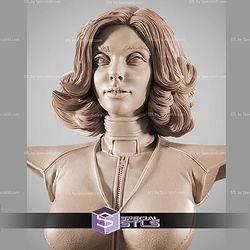 The Wasp Portrait Bust Comics STL Files