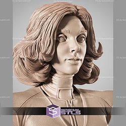 The Wasp Portrait Bust Comics STL Files