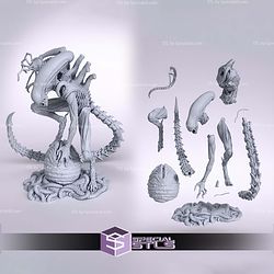 Xenomorph Alien 187mm STL Files