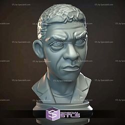 Mini Bust Character Collection STL Denzel Washington
