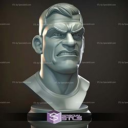 Mini Bust Character Collection STL John Cena