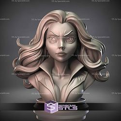 Mini Bust Character Collection STL Scarlet Witch