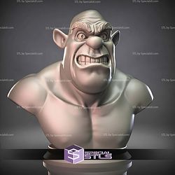 Mini Bust Character Collection STL Sherk