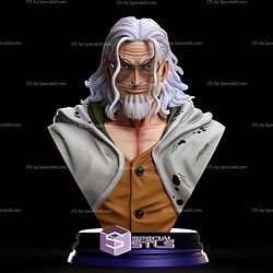 Silvers Rayleigh Bust V2 STL Files