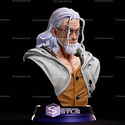 Silvers Rayleigh Bust V2 STL Files