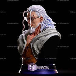 Silvers Rayleigh Bust V2 STL Files