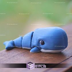 Super Basic STL Flexi Wiggly Whale