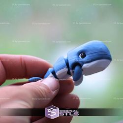 Super Basic STL Flexi Wiggly Whale