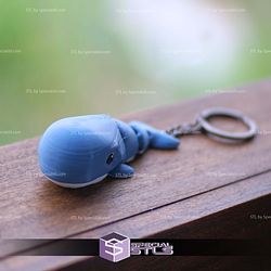Super Basic STL Flexi Wiggly Whale