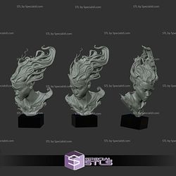 Wind Of Freedom STL Files