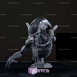 Xenomorph Alien Bust V2 STL Files