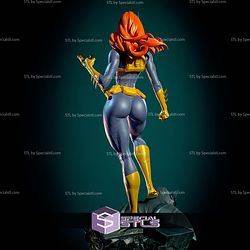 Batgirls Barbara STL Files