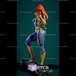 Batgirls Barbara STL Files