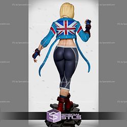 Cammy 1-6 Collection V2 STL Files