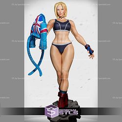 Cammy 1-6 Collection V2 STL Files