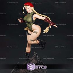 Cammy 1-6 Collection V1 STL Files