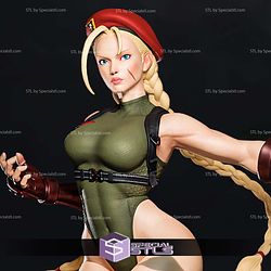 Cammy 1-6 Collection V1 STL Files