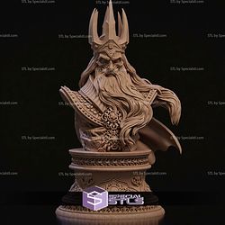 Koshei Bust STL Files