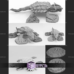 August 2020 Dragon Turtle Set Dragon Workshop Miniatures