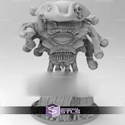 October 2020 Captain Eleven Eyes Dragon Workshop Miniatures