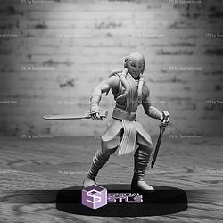 October 2025 Invictus Miniatures