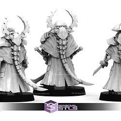 October 2025 The Makers Cult Miniatures