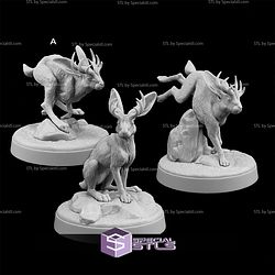 October 2025 The Dragon Trappers Lodge Miniatures