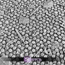 November 2025 Custom Maker Miniatures