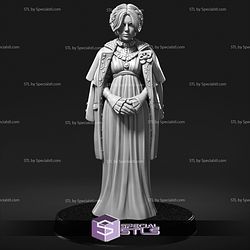 November 2025 RN Estudio Miniatures