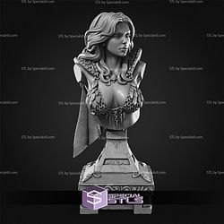 November 2025 SolGood Fantastic Ladies Miniatures