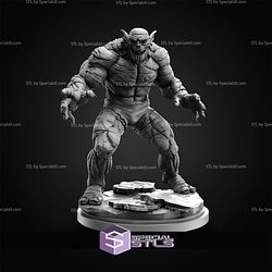 December 2025 C27 Collectibles Miniatures