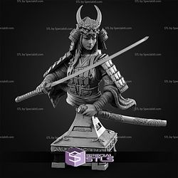 December 2025 SolGood Fantastic Ladies Miniatures