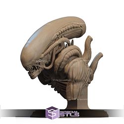 Alien Couple Bust STL Files
