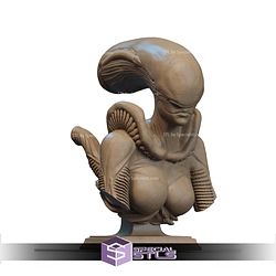 Alien Couple Bust STL Files