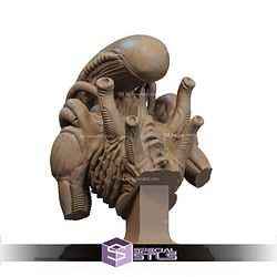 Alien Couple Bust STL Files