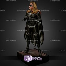 Batgirl Museum Pose from Batman and Robin STL Files