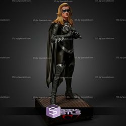 Batgirl Museum Pose from Batman and Robin STL Files
