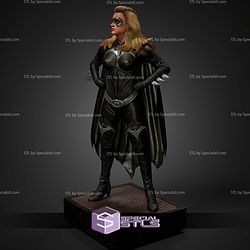 Batgirl Museum Pose from Batman and Robin STL Files