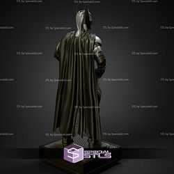Batman Museum Pose from Batman and Robin STL Files