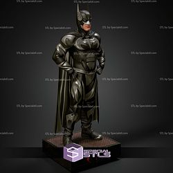 Batman Museum Pose from Batman and Robin STL Files