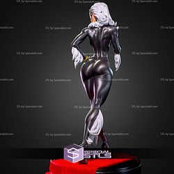 Black Cat 2 Version with NSFW STL Files