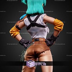 Bulma Stand Pose 220mm STL Files