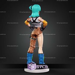 Bulma Stand Pose 220mm STL Files