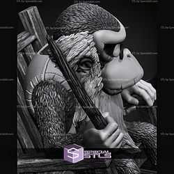 Cranky Kong Old 250mm STL Files