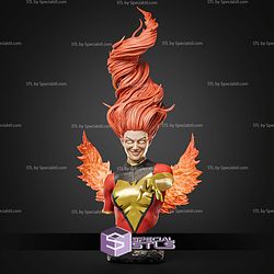 Jean Grey Phoenix Bust 117mm STL Files