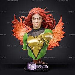 Jean Grey Phoenix Bust 117mm STL Files