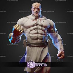 Conquest in Blood 3D Printer Files