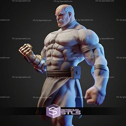 Conquest in Blood 3D Printer Files