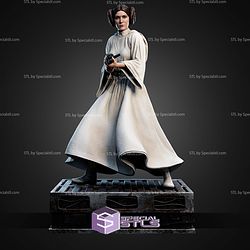 Leia Organa and Gun 359mm STL Files